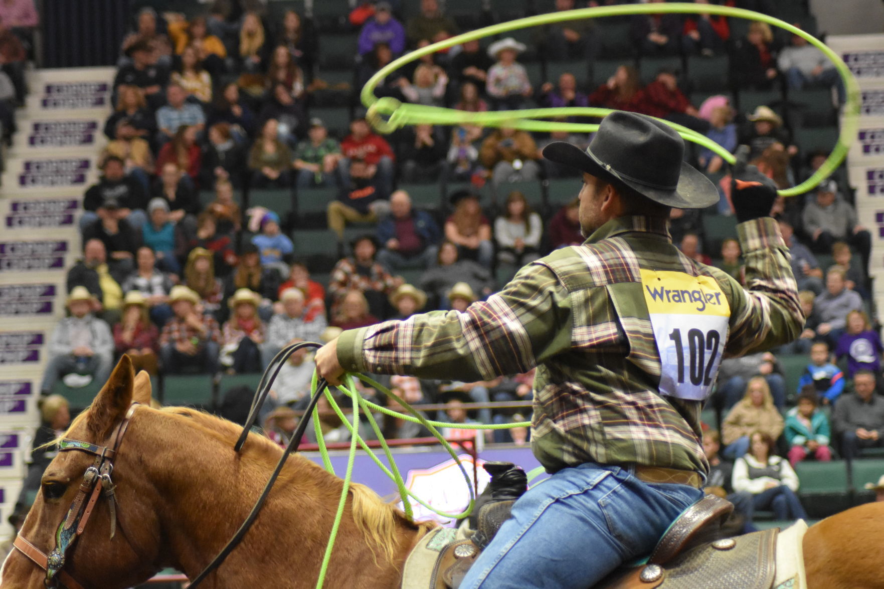 Rodeo